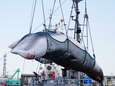Japan herneemt commerciële walvisjacht: eerste schepen vertrokken