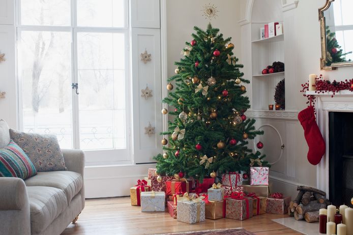 Echte of plastieken kerstboom: welke is het best?