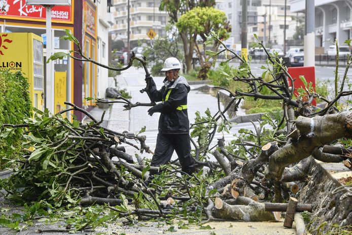 Een gemeentewerker snoeit een omgewaaide boom in Okinawa.