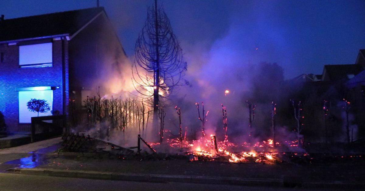 Coniferenhaag van 30 meter gaat in vlammen op in Ulft - De Gelderlander