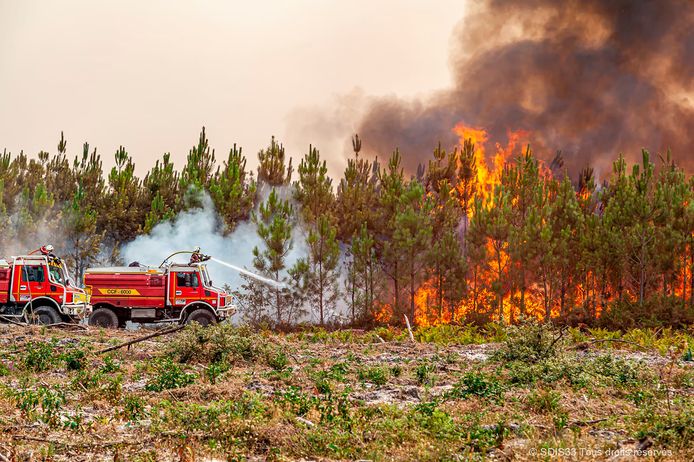 Questa foto fornita dai vigili del fuoco della regione della Gironda SDIS 33, (Dipartimento antincendio e servizio di salvataggio 33) combatte un incendio vicino a Saint-Magne, a sud di Bordeaux, nel sud-ovest della Francia, giovedì 28 agosto 2019. 11, 2022. (SDIS 33 tramite AP)