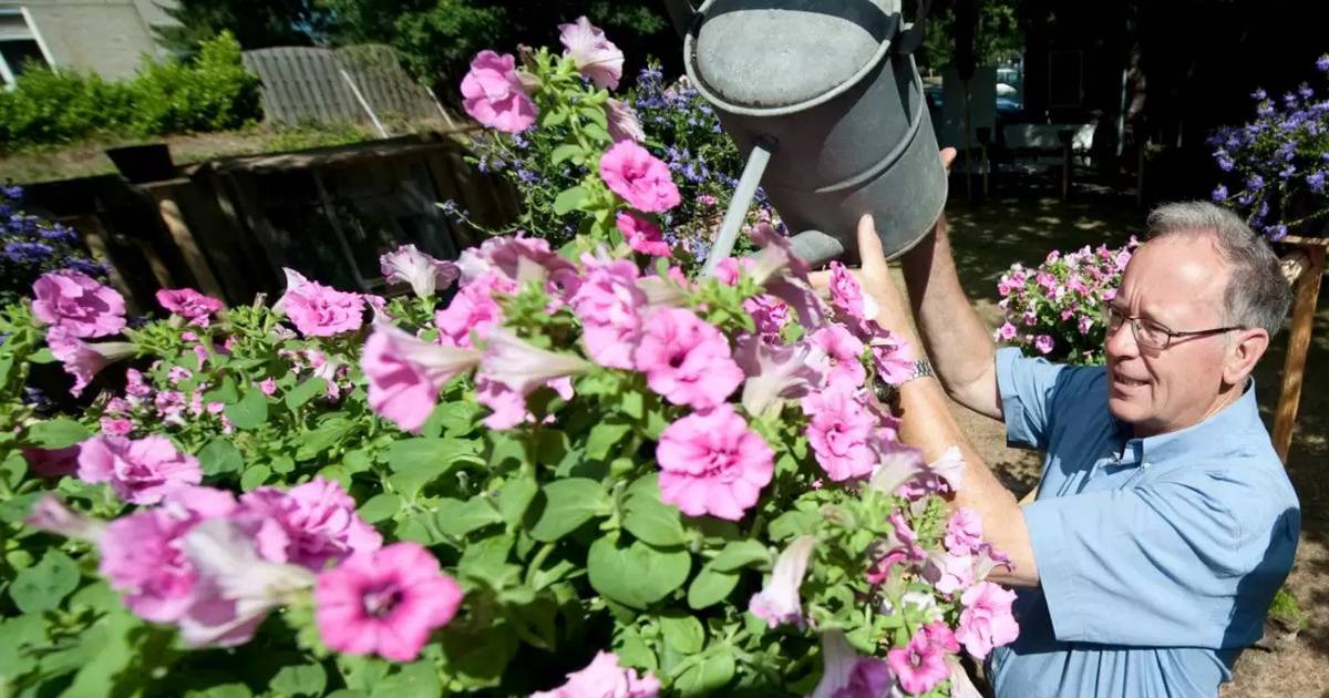 Jan Workel (1943-2022): een spin in het web van de samenleving in Enter ...