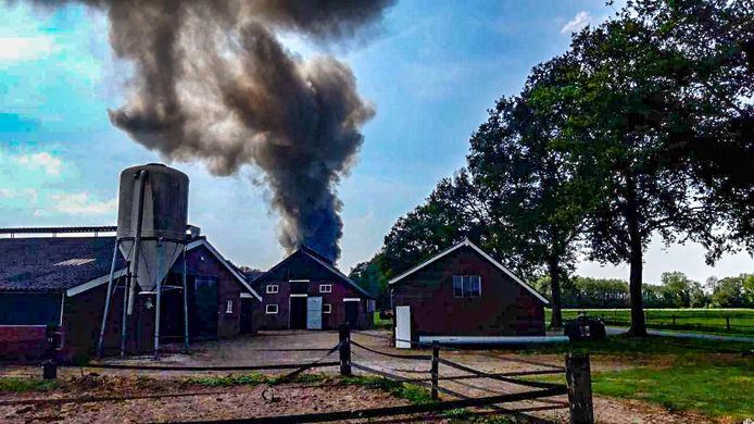 De hulpdiensten zijn zaterdag uitgerukt voor een brand in een bedrijfspand aan de Veldhoeveweg in Dalfsen. De brandweer heeft inmiddels opgeschaald naar grote brand. De enorme rookontwikkeling is vanaf grote afstand te zien.
