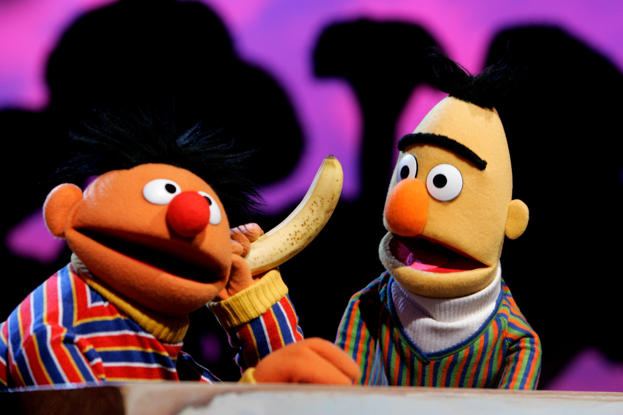 De vraag 'Hoe zit het nou met Bert en Ernie' is eindelijk beantwoord. Beeld ANP