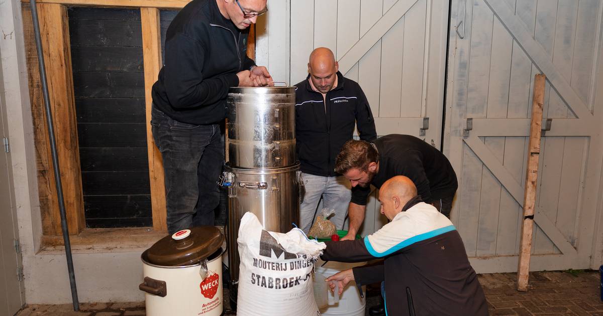 Bij 't Kreilts Genot gaan ze na het melken met hun eigen bier aan de slag - Eindhovens Dagblad