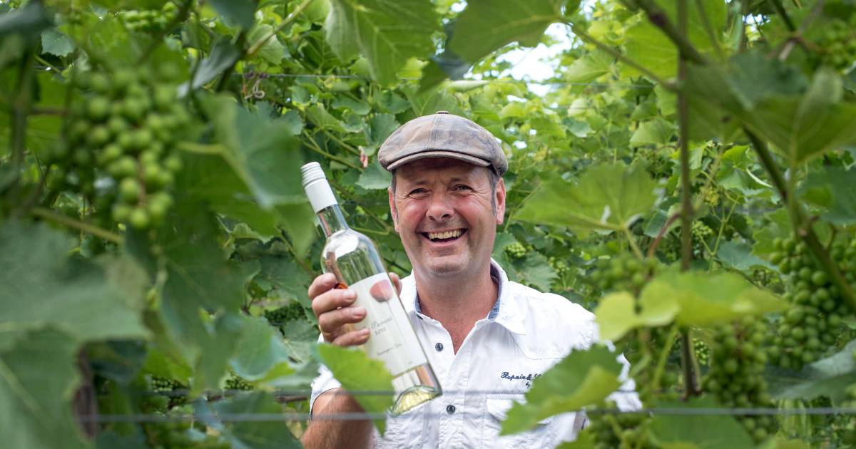 Pas als de wijn in het vat zit, weet je of het een goed jaar is