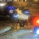Het waren zwarte agenten, maar in de eerste plaats agenten – en dat kostte Tyre Nichols het leven
