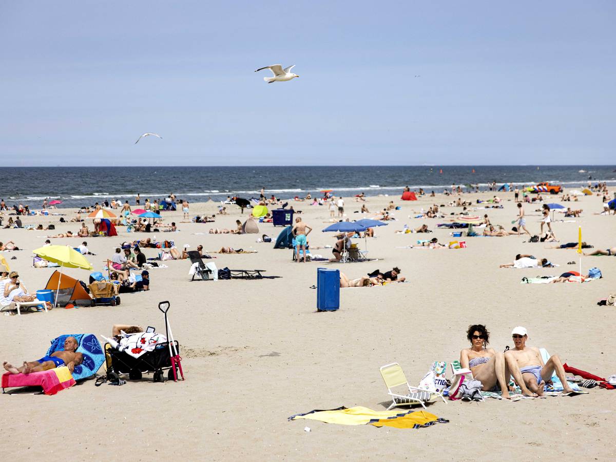 Masturberende man valt vrouwen lastig op strand, politie arresteert hem na  twee uur | Binnenland | destentor.nl