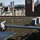 In Amsterdam staan zoveel goedbedoelde bijenkasten, dat de honingbij andere wilde soorten wegconcurreert