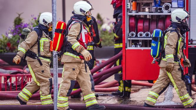 Vrachtwagen in lichterlaaie in tunnel bij Roermond: forse files in beide richtingen