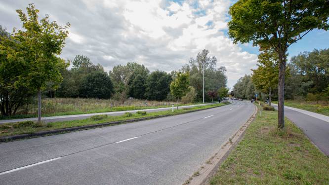 Lidl-project in stationsomgeving speelt vergunning opnieuw kwijt: “Enkel Raad van State kan nu nog oordelen”