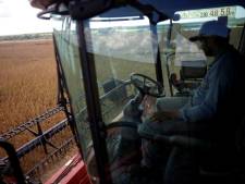 Braziliaanse autoriteiten bevrijden 212 arbeiders van ‘slavernij’