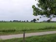 Het gebied waar een bedrijventerrein moet verrijzen in Rijssen met op de voorgrond de Maisweg.
