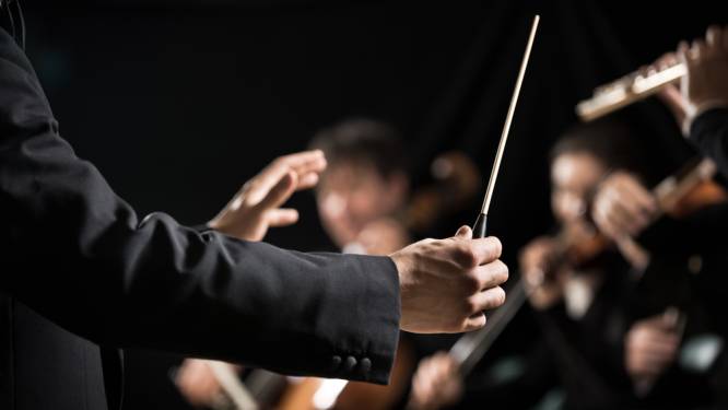 Camerata Orkest zoekt muzikanten