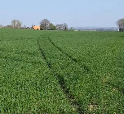 Automobilist wordt onwel en belandt in weiland