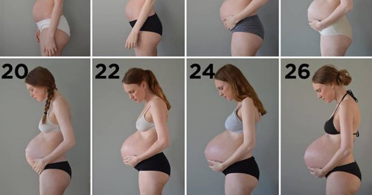 ventre de grossesse semaine après semaine