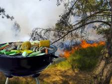 Veiligheidsregio’s waarschuwen: extra oppassen met vuur vanwege groter risico op natuurbranden