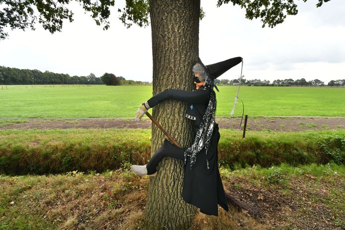 Heks in de boom langs de Stegenhoekweg in Haaksbergen 'Zo'n heks wil ik