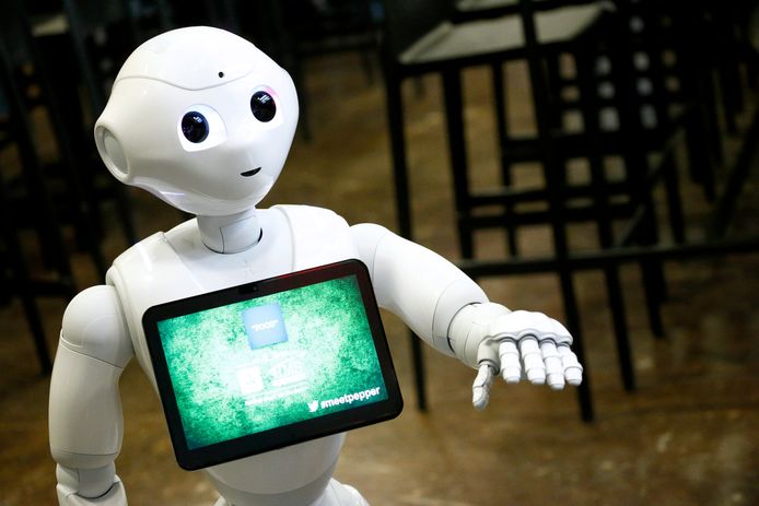 Hebben we straks robots nodig om werk te laten doen?
