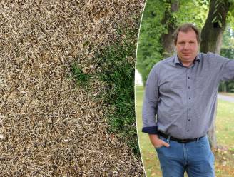 “Gazonsproeiers zijn niet efficiënt”: tuinexpert geeft vijf tips om een uitgedroogd gazon te voorkomen