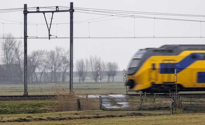 Foto ter illustratie.