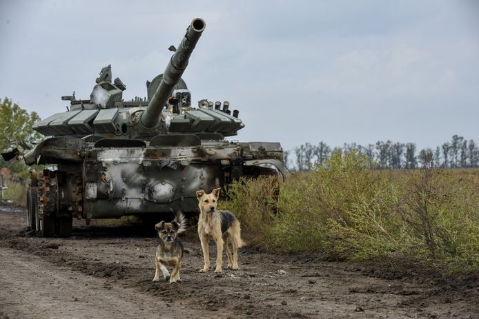 Honden naast een buitgemaakte Russische tank in de regio Charkiv. Beeld van 30 september.