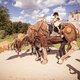 Onze cultuurtips voor dit weekend: bamboekunst en levende kinderboeken