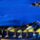 Vriendschappelijk duel in Argentinië loopt volledig uit de hand