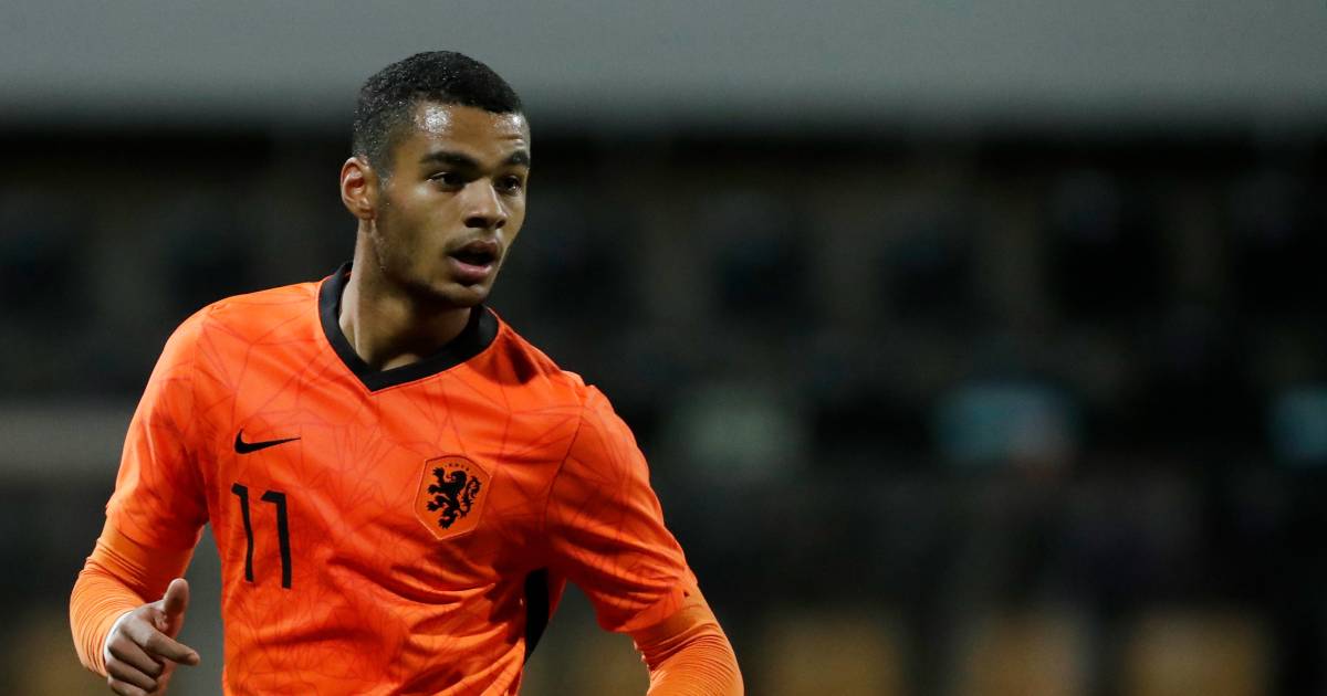 Cody Gakpo Moet Door Bovenbeenblessure Trip Met Jong Oranje Laten Schieten Psv Bd Nl
