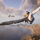 De nieuwe Harry Potter-game Hogwarts Legacy schept een wereld waar je uren wilt vertoeven ★★★★☆