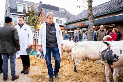 ‘Kom niet te vroeg.’ Leste Mert niet met Allerzielen, maar de donderdag erna