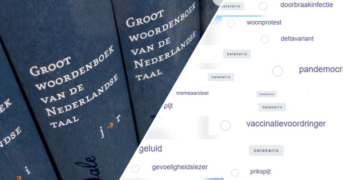 woord-van-het-jaar-weet-jij-deze-woorden-nog-binnenland-ad-nl