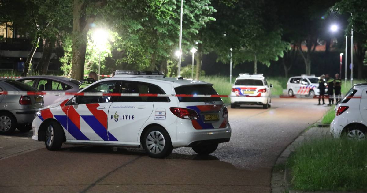 Twee Tieners Zwaargewond Bij Steekpartij In Zoetermeer Wonden In Hoofd Nek En Borst Binnenland Destentor Nl