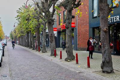 Opnieuw zorgen over droogstaande bomen in Marktstraat in Made: ‘vergaarplaats voor hondenpoep’