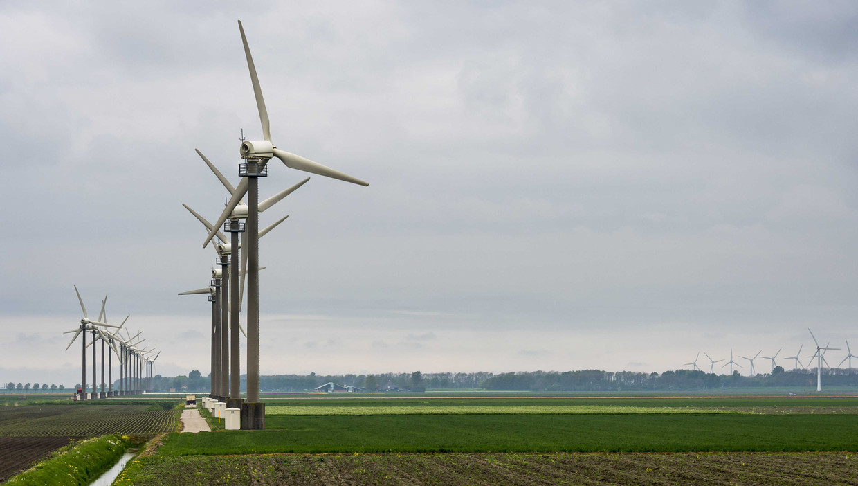 Als een bedrijfstak zo afhankelijk is van subsidie, is er eigenlijk geen gezonde economische basis voor, aldus Patrick van Schie. Beeld ANP