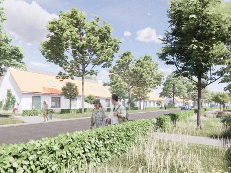 Eindhovense raad blij met plan Rustenburgstraat: ‘Aantal huizen verdubbelt én groene oase wordt groter’  