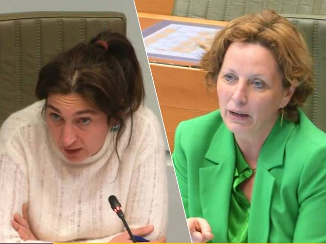 Minister Demir (N-VA) haalt uit naar Groen-parlementslid dat zegt dat ze met verkeerde been uit bed gestapt is: “Ja, altijd als ik u zie”