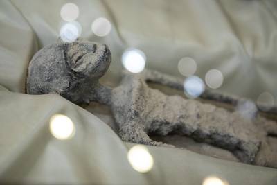 Het frauduleuze verhaal achter de Mexicaanse buitenaardse wezens: “De schedels zijn gemaakt van lama’s”