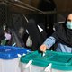 Het is verkiezingsdag in Iran, maar burgers vertrouwen de politiek niet meer. ‘Ze hebben het echt bont gemaakt’