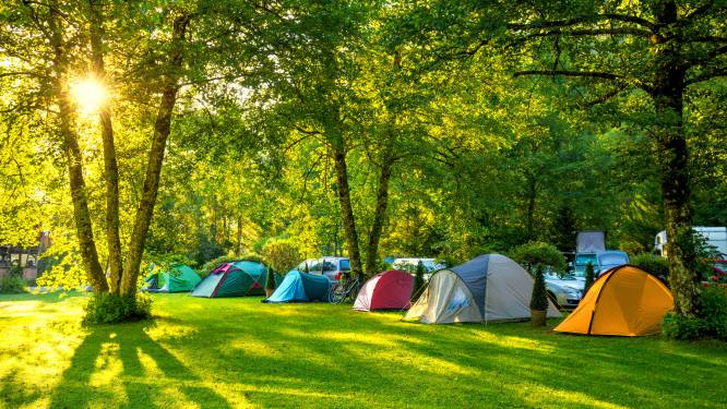 Camping en omwonenden sluiten vrede: De Bosrand in Lieren mag uitbreiden (al zijn alleen tenten welkom)