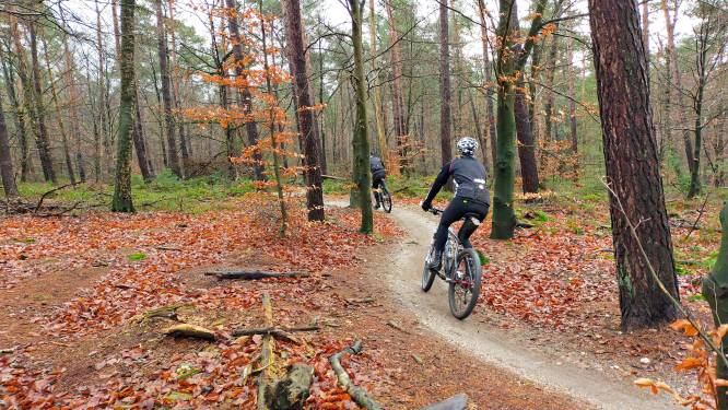 Leef je uit op de mountainbike door de bossen van Kluisbergen