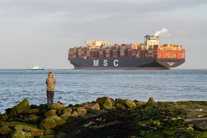 De MSC Loreto vaart voorbij Hansweert.