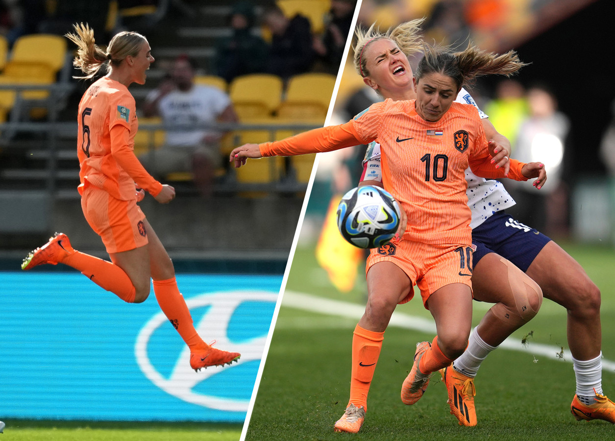 leeuwinnen-trekken-conclusie-na-clash-met-vs-de-wereld-is-nog-niet