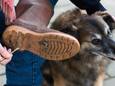 Een van de grootste ergernissen is de hondenpoep op straat, op grasvelden en in parken.