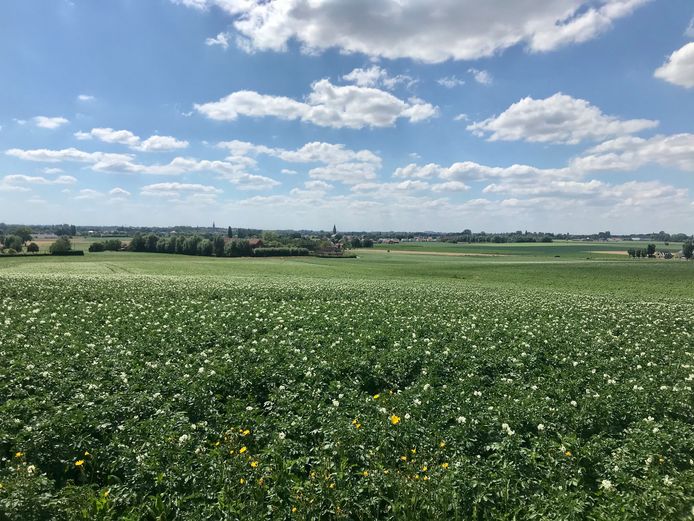 Sfeerbeeld van de nieuwe Coyghemroute