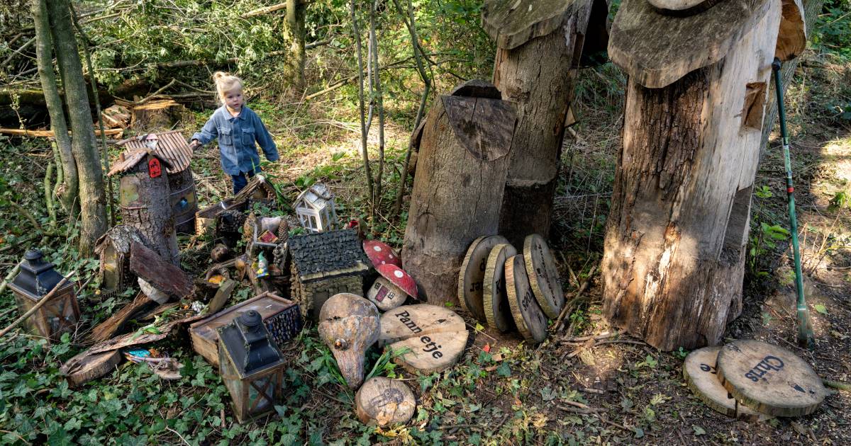 Kaalslag rond Meerse Plas in Den Dungen, maar Kabouterpad gaat herrijzen. Mét een nieuw volkje - Ein