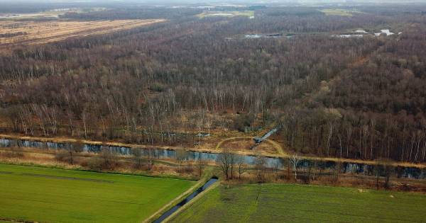 Actie 'Help de Peel verzuipt' in Helenaveen tegen bestuurders - Eindhovens Dagblad