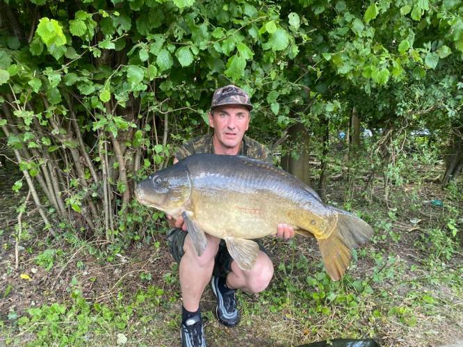 Eddy (42) haalt karper van 12 kilo uit oude zijarm van de Leie: “Straks gooi ik hem wel terug, hoor” 