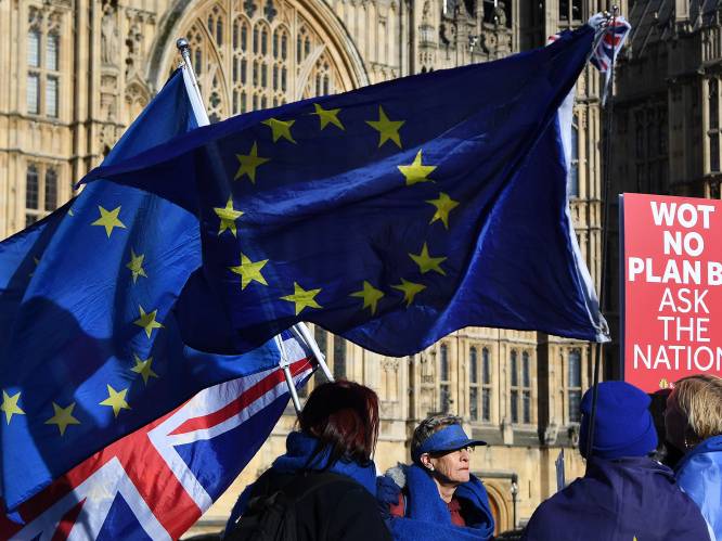 Tweede brexitreferendum komt dichterbij, maar met welke vraag?