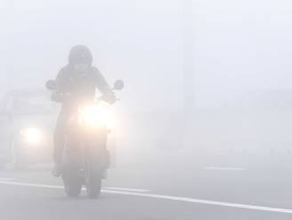 Mist veroorzaakt jaarlijks 160 slachtoffers op de weg